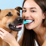 **Image Prompt for Regular Brushing**: "A pet owner gently brushing a dog's teeth in a calm environment, using a soft-bristled toothbrush designed for pets and a fluoride-free toothpaste. The dog looks comfortable and relaxed, with a happy expression."