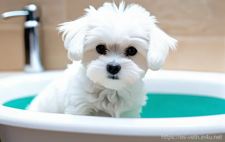 강아지 피부 알러지 전용 샴푸 - A heartwarming, realistic image capturing a Golden Retriever, "Max," with subtle signs of skin disco... 강아지 피부 알러지 전용 샴푸 - A heartwarming, realistic image capturing a Golden Retriever, "Max," with subtle signs of skin disco...