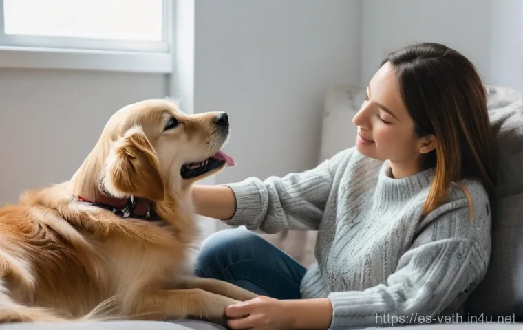 강아지 강박증 증상과 치료 - **Prompt:** A focused Border Collie, with bright, intelligent eyes, actively engaged with a complex ... 강아지 강박증 증상과 치료 - **Prompt:** A focused Border Collie, with bright, intelligent eyes, actively engaged with a complex ...