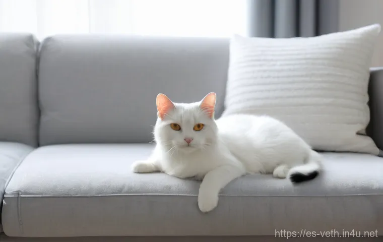 고양이 결막염 치료 방법 - **Prompt 2: Veterinary Care for a Cat with Conjunctivitis**
"A professional and caring female ve... 고양이 결막염 치료 방법 - **Prompt 2: Veterinary Care for a Cat with Conjunctivitis**
"A professional and caring female ve...