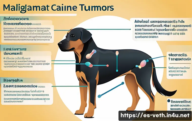 강아지 암 수술 사례 관련 이미지 2