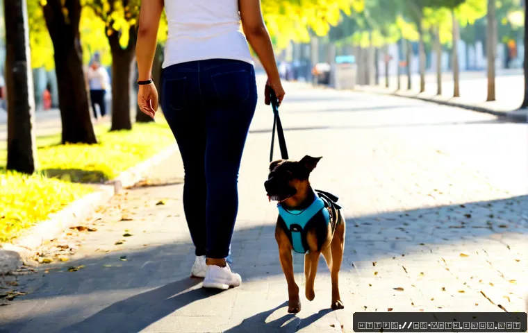 강아지 산책용 하네스 추천 - Photorealistic lifestyle scene of a cheerful small mixed-breed dog wearing a comfortable padded Y-sh...